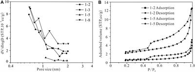 Pore structure characterization for coal measure shales of the Xiashihezi Formation in the Sunan Syncline block, southern North China basin